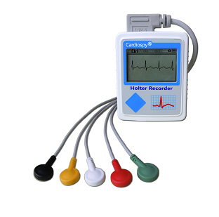 Holter Study 24 Hours